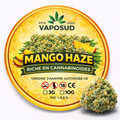 Mango Haze – Fleur CBD Indoor Hydroponique